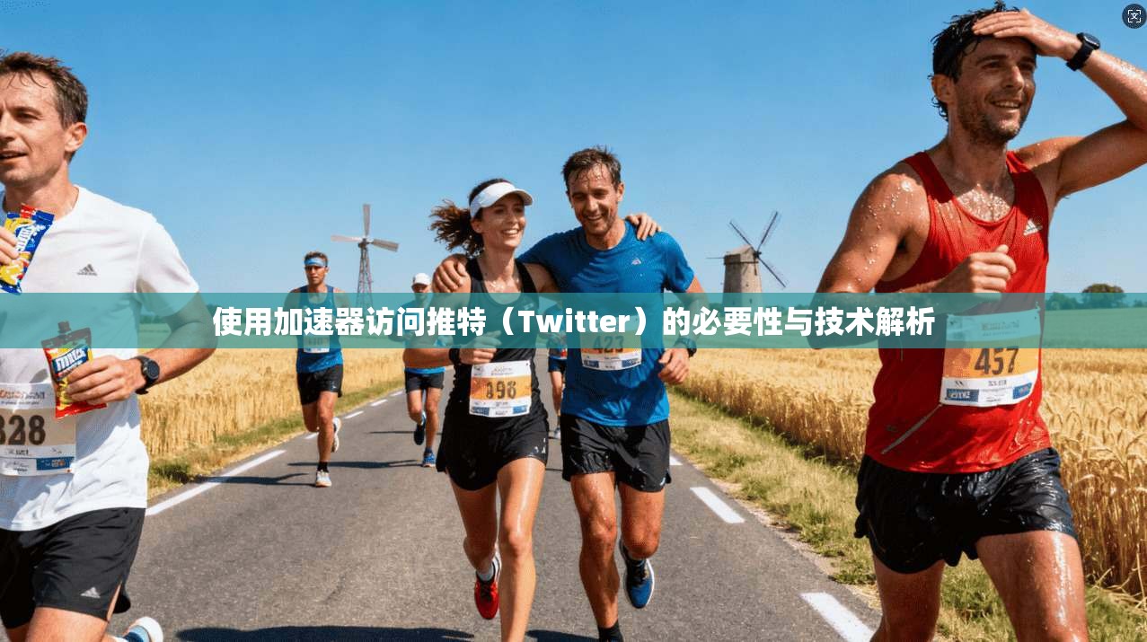 使用加速器访问推特(Twitter)的必要性与技术解析