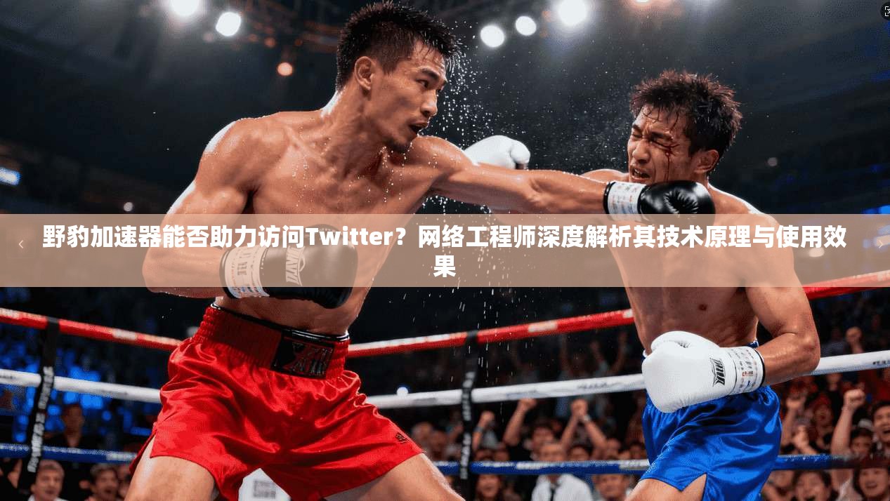 野豹加速器能否助力访问Twitter?网络工程师深度解析其技术原理与使用效果