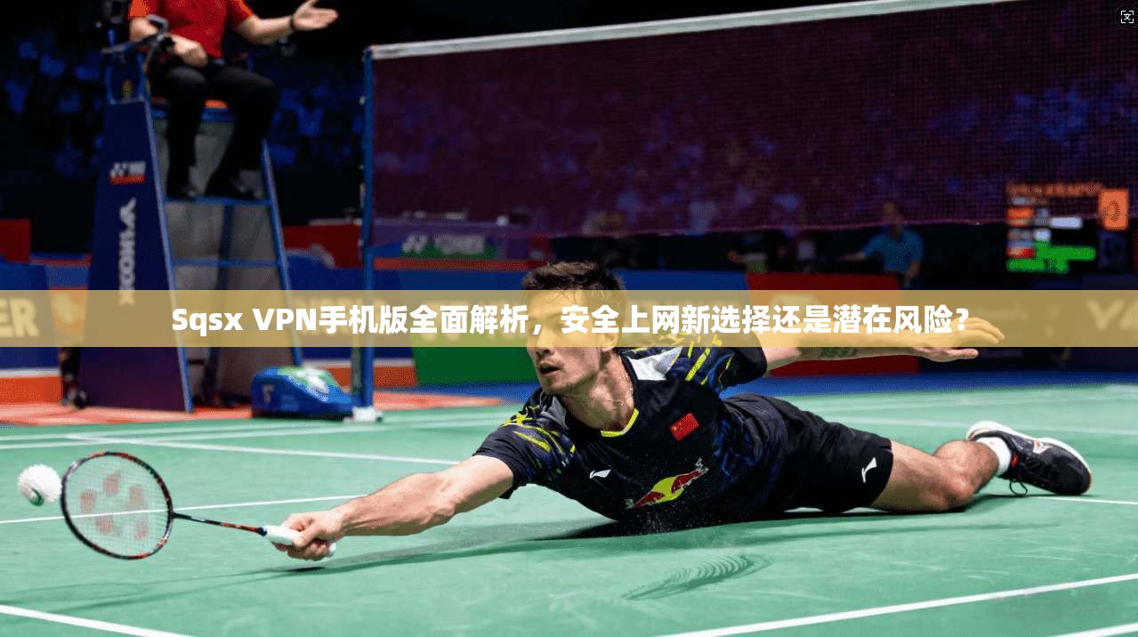 Sqsx VPN手机版全面解析，安全上网新选择还是潜在风险？