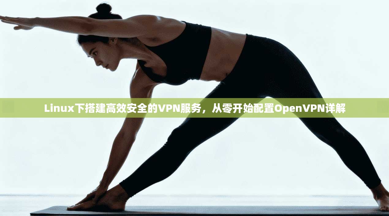 Linux下搭建高效安全的VPN服务,从零开始配置OpenVPN详解