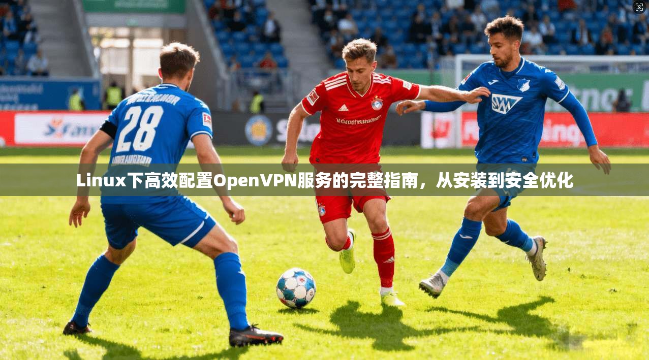 Linux下高效配置OpenVPN服务的完整指南,从安装到安全优化