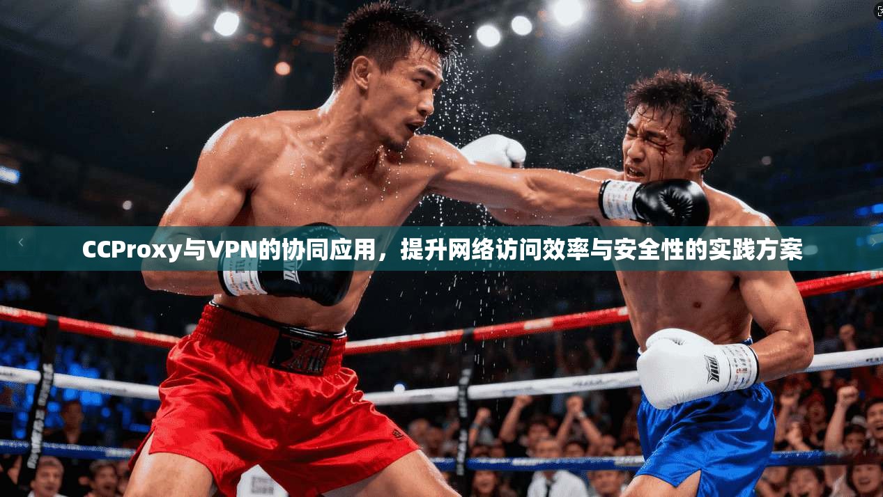 CCProxy与VPN的协同应用,提升网络访问效率与安全性的实践方案