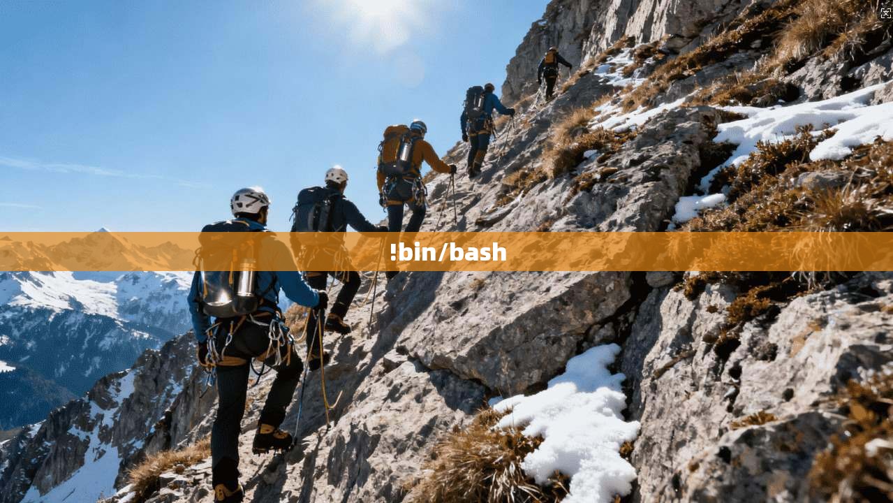 !bin/bash