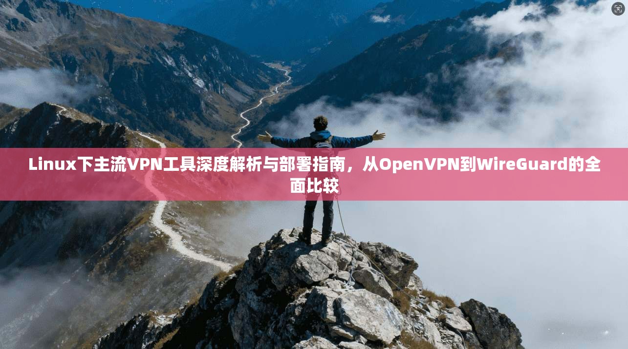 Linux下主流VPN工具深度解析与部署指南,从OpenVPN到WireGuard的全面比较