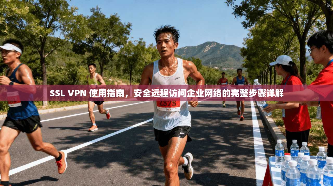 SSL VPN 使用指南,安全远程访问企业网络的完整步骤详解