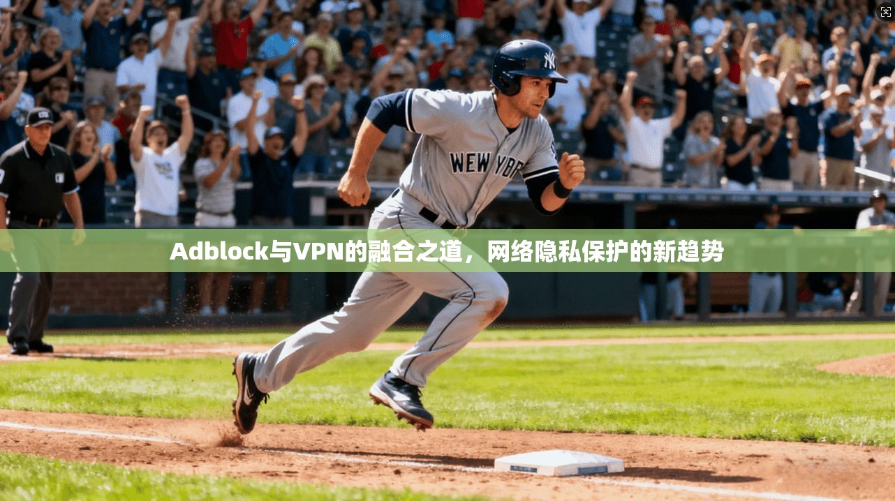 Adblock与VPN的融合之道,网络隐私保护的新趋势