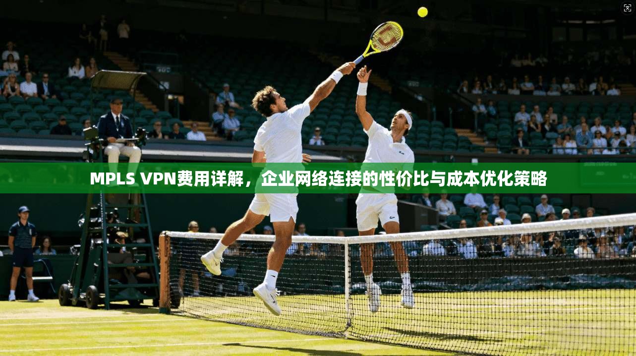 MPLS VPN费用详解,企业网络连接的性价比与成本优化策略