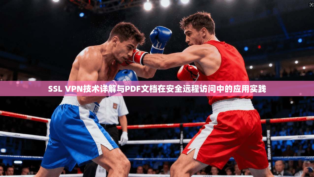 SSL VPN技术详解与PDF文档在安全远程访问中的应用实践