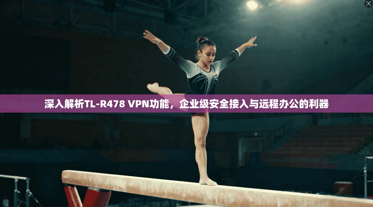 深入解析TL-R478 VPN功能,企业级安全接入与远程办公的利器