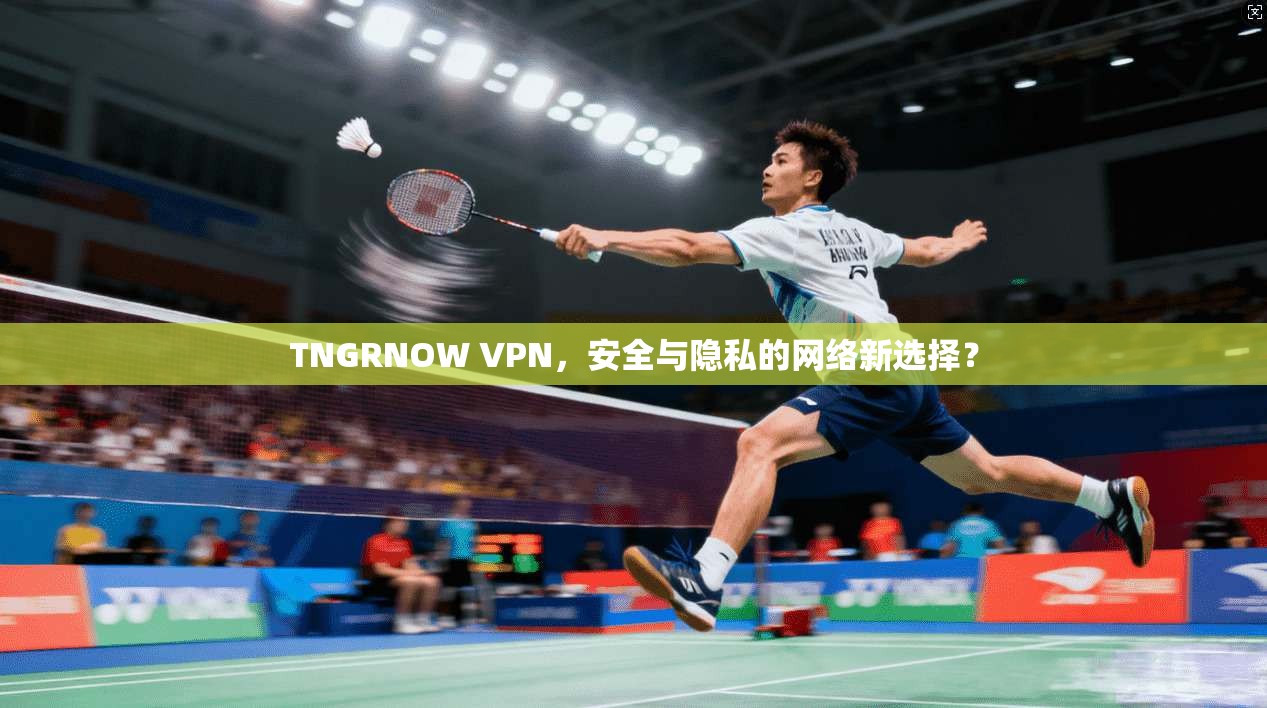 TNGRNOW VPN，安全与隐私的网络新选择？