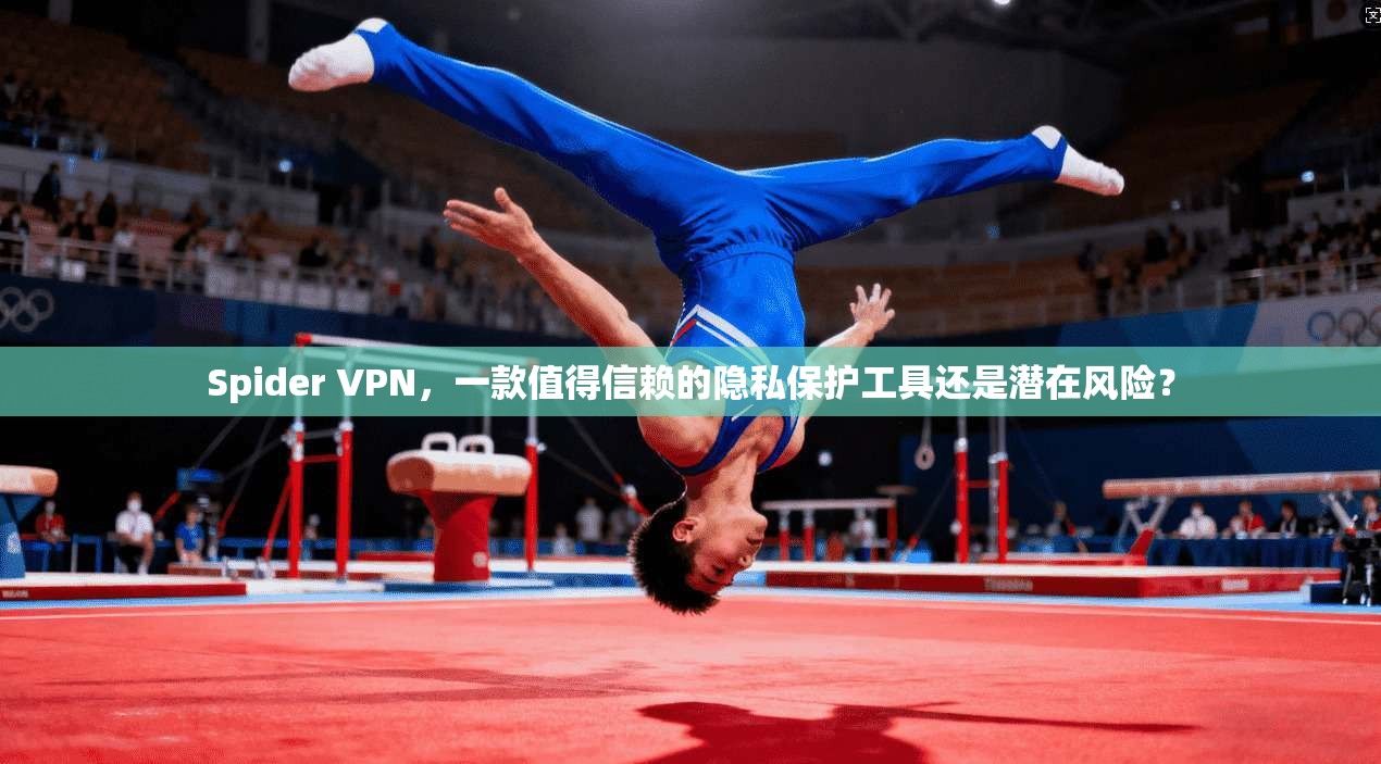 Spider VPN，一款值得信赖的隐私保护工具还是潜在风险？